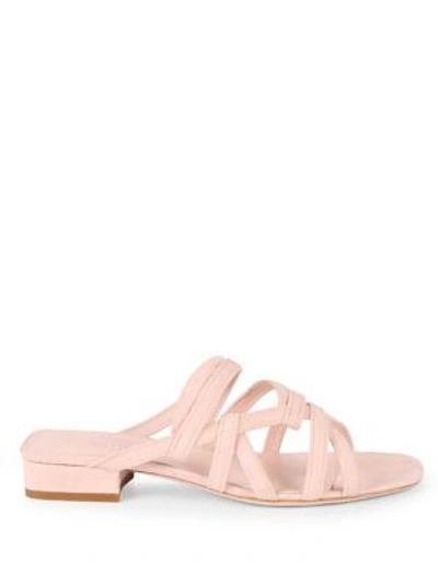 Shop Cushnie Et Ochs Liam Suede Strappy Flat Sandals In Blush