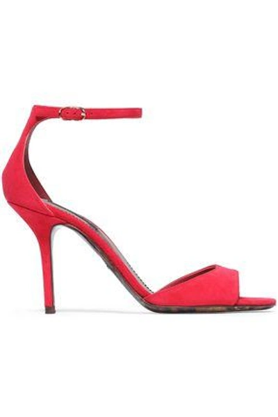 Shop Dolce & Gabbana Suede Sandals In Magenta