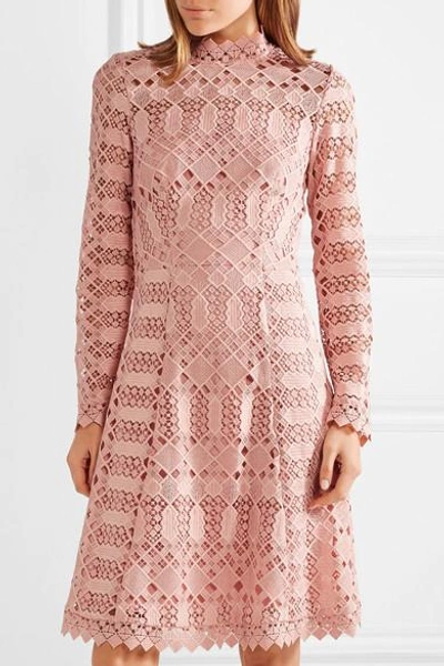 Shop Temperley London Amelia Guipure Lace Dress In Blush