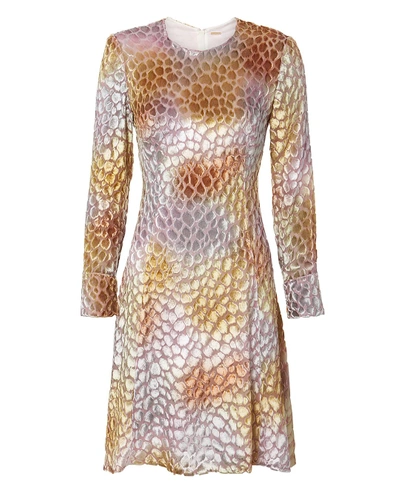 Shop Adam Lippes Painted Velvet Jacquard Dress