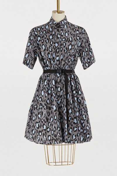 Shop Kenzo Leopard Short Dress In Pale Grey