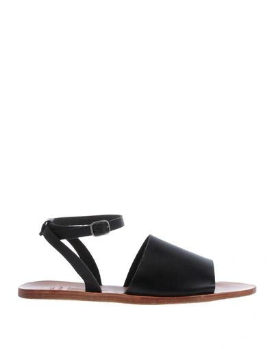 Shop Ndc Sandals In Black