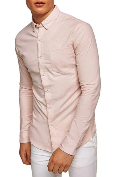 Shop Topman Muscle Fit Oxford Shirt In Pink