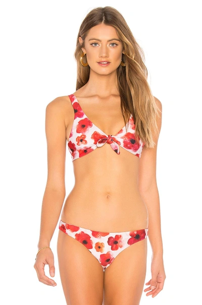 Shop Stone Fox Swim Hana Bikini Top In Red