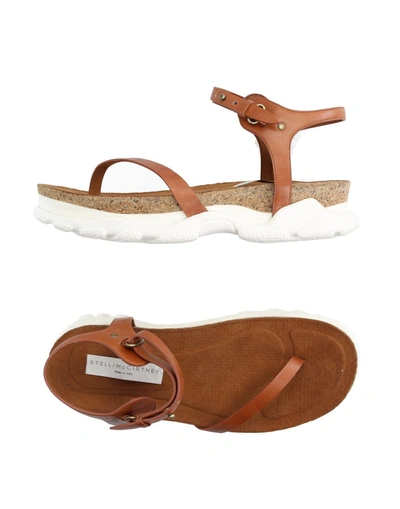Shop Stella Mccartney Toe Strap Sandals In Brown