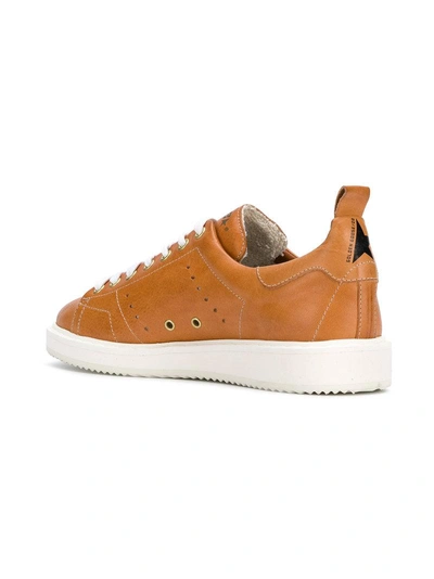 Shop Golden Goose Starter Sneakers In Brown