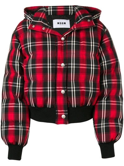 Shop Msgm Checked Puffer Jacket In Red