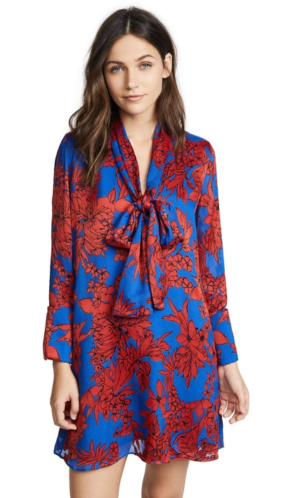 Shop Alice And Olivia Gwenda Tunic Dress In Fancy Floral