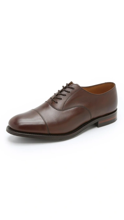Shop Loake 1880 Scafell Cap Toe Oxford Shoes In Dark Brown