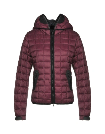 Shop Ai Riders On The Storm Jacket In Mauve