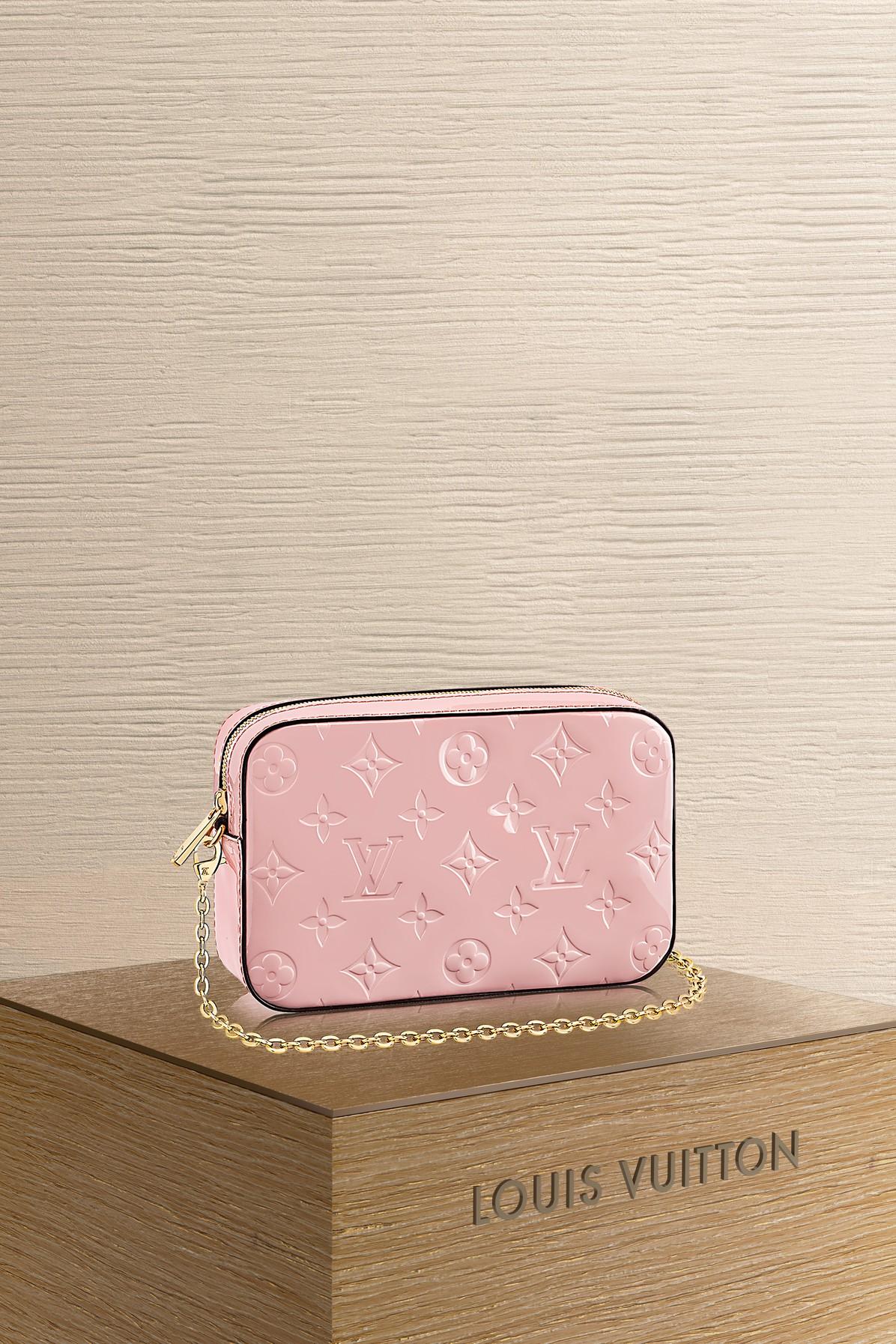 louis vuitton camera pouch