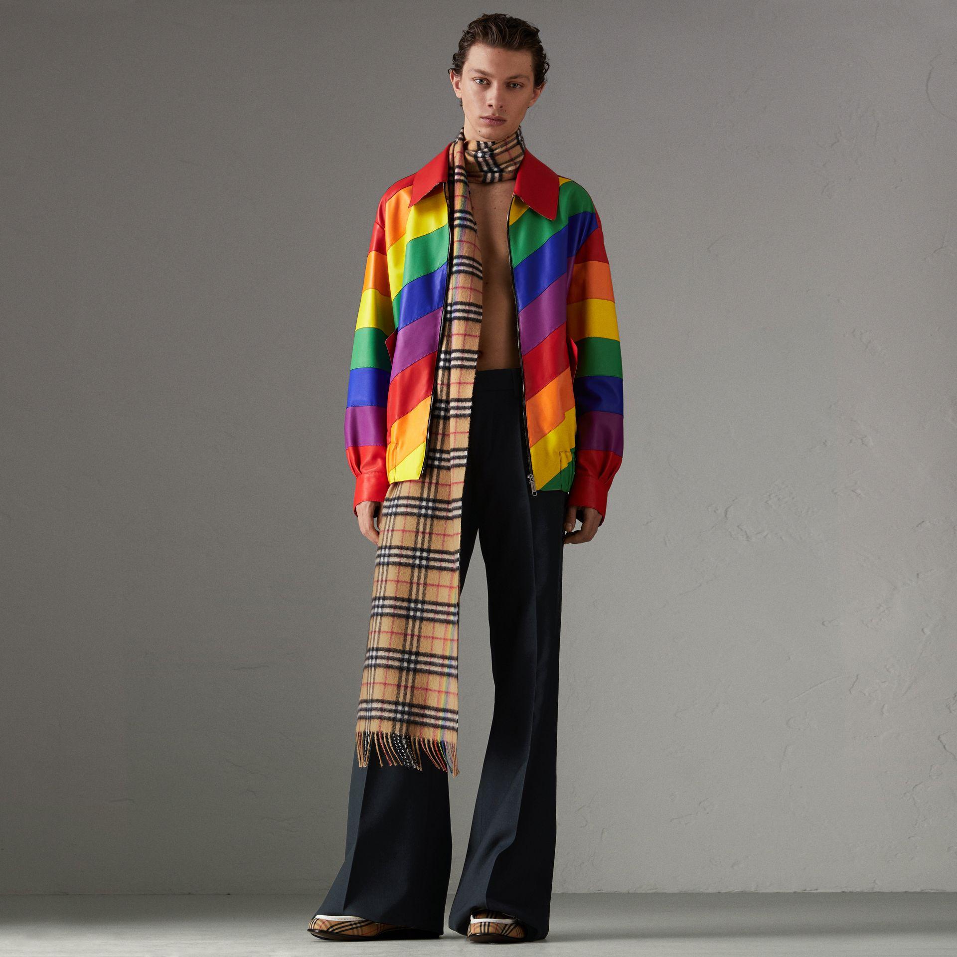 burberry jacket rainbow