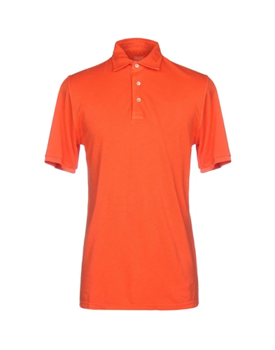 Shop Fedeli Polo Shirts In Orange