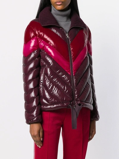 Moncler Albatros Tricolor Puffer Jacket W/ Knit Collar In 458 Brown Red  Pink | ModeSens