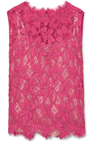 Shop Dolce & Gabbana Corded Lace Top In Pink