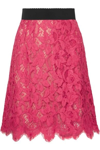 Shop Dolce & Gabbana Guipure Lace Skirt In Pink