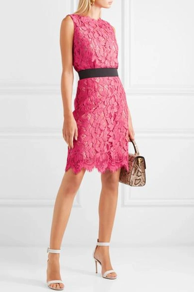 Shop Dolce & Gabbana Guipure Lace Skirt In Pink