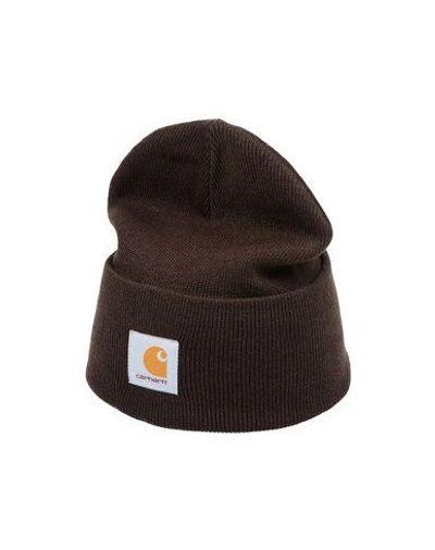 Shop Carhartt Hat In Dark Brown