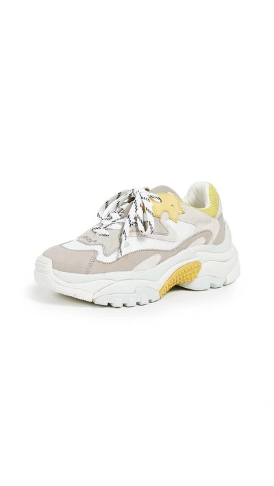 Shop Ash Addict Trainers In Grey/off White/yellow/white