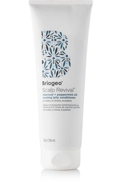 Shop Briogeo Scalp Revival Charcoal + Peppermint Oil Cooling Jelly Conditioner, 236ml In Colorless