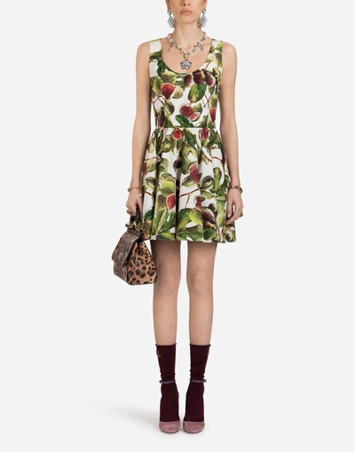 Shop Dolce & Gabbana Printed Poplin Dress In Multi-colored