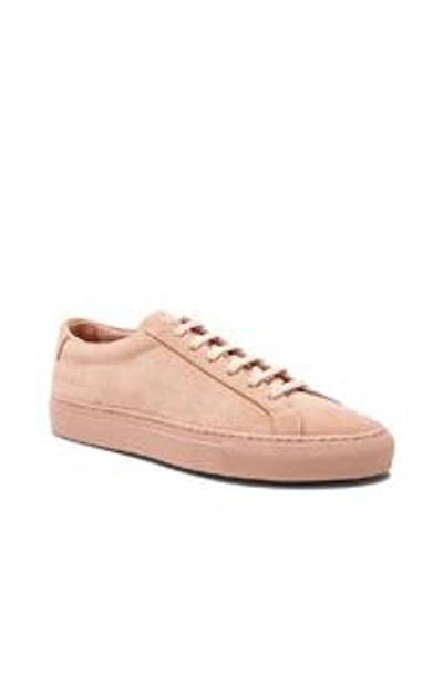 Shop Common Projects Original Suede Achilles Low In Pink