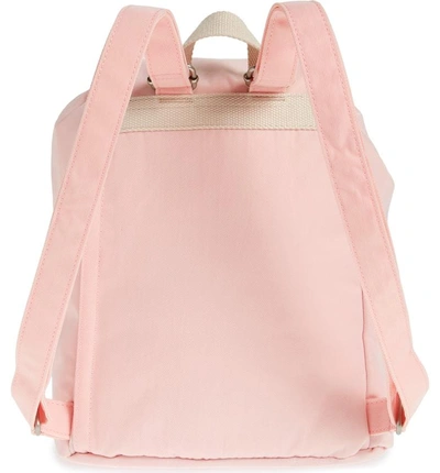 Shop Doughnut Mini Montana Water Repellent Backpack - Pink In Sakura