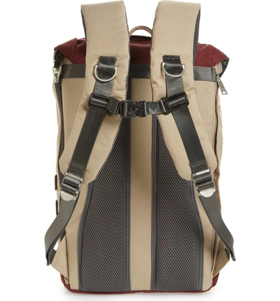 Shop Doughnut Small Colorado Water Repellent Backpack - Ivory In Hazelnut/ Wine