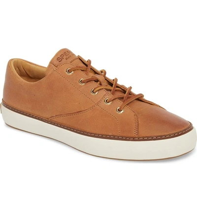 Shop Sperry Gold Cup Haven Sneaker In Caramel Leather