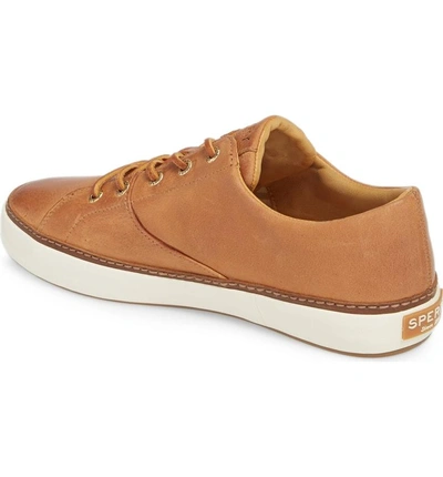 Shop Sperry Gold Cup Haven Sneaker In Caramel Leather