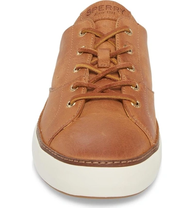 Shop Sperry Gold Cup Haven Sneaker In Caramel Leather