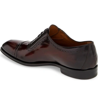 Shop Bruno Magli Lucca Cap Toe Oxford In Bordeaux