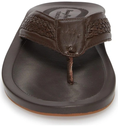 Shop Tommy Bahama Shallows Edge Flip Flop In Dark Brown Leather