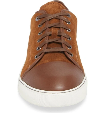 Shop Lanvin Low Top Sneaker In Light Brown