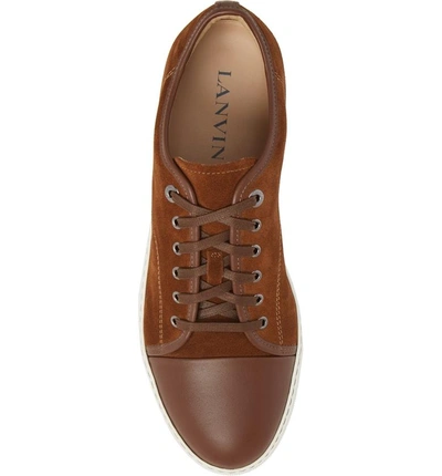 Shop Lanvin Low Top Sneaker In Light Brown