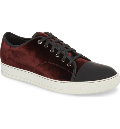 Shop Lanvin Low Top Sneaker In Burgundy