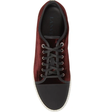 Shop Lanvin Low Top Sneaker In Burgundy