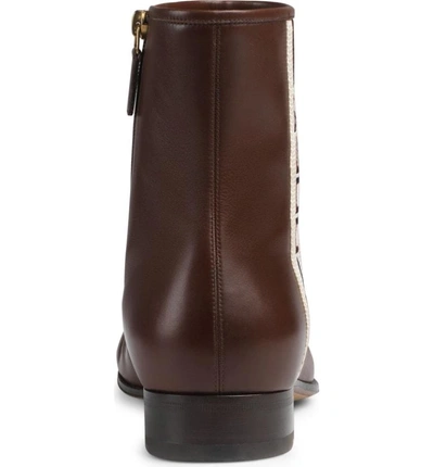 Shop Gucci Stripe Leather Boot In Light Brown