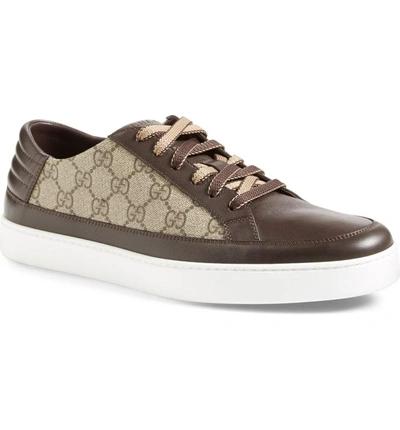 Shop Gucci 'common' Low-top Sneaker In Cocoa Beige Ebony Leather