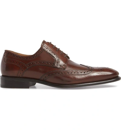 Shop Florsheim Venucci Imperial Wingtip Derby In Cognac Leather