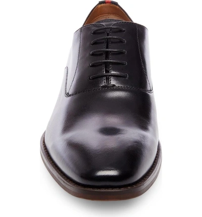 Steve shop madden driscoll