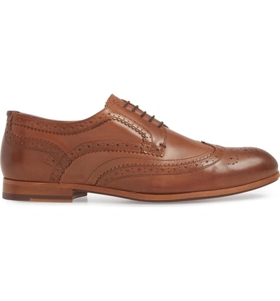 Shop Ted Baker Camyli Wingtip In Tan Leather