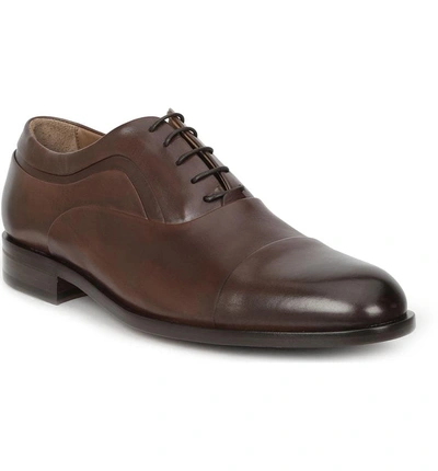 Shop Bruno Magli Sassiolo Cap Toe Oxford In Brown