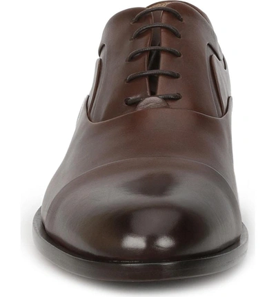 Shop Bruno Magli Sassiolo Cap Toe Oxford In Brown