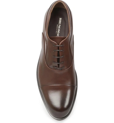 Shop Bruno Magli Sassiolo Cap Toe Oxford In Brown