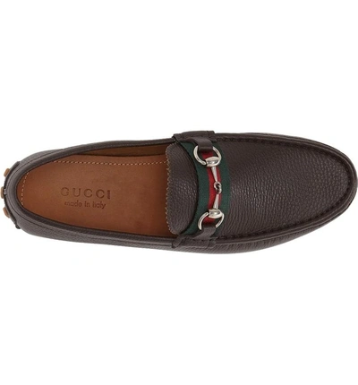 Shop Gucci 'damo' Driving Shoe In Cocoa-vrv