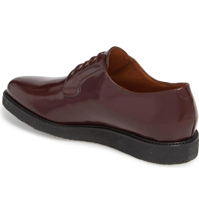 Shop Common Projects Plain Toe Derby In Burgundy/ Black