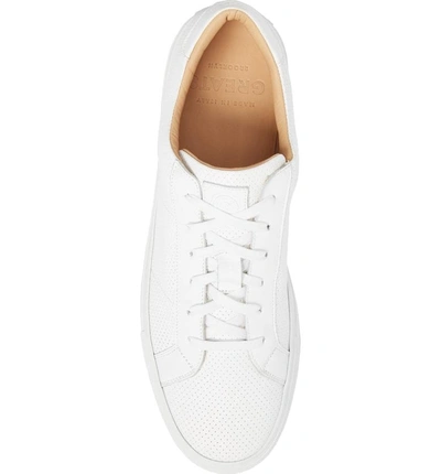 Shop Greats Royale Perforated Low Top Sneaker In White Perforated Leather