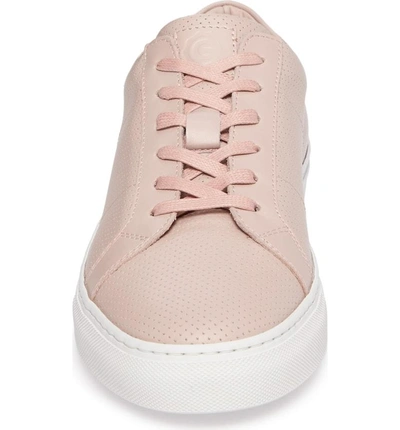Shop Greats Royale Perforated Low Top Sneaker In Blush Perforated Leather