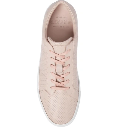 Shop Greats Royale Perforated Low Top Sneaker In Blush Perforated Leather